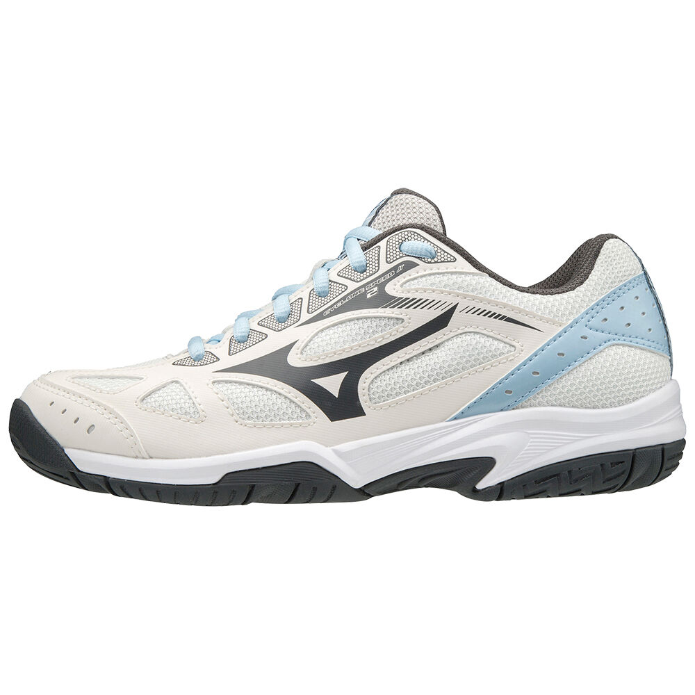 Panske Volejbalove Tenisky Mizuno Cyclone Speed 2 Biele/Siva Vypredaj PCDV18730